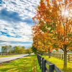 Go for a Scenic Drive