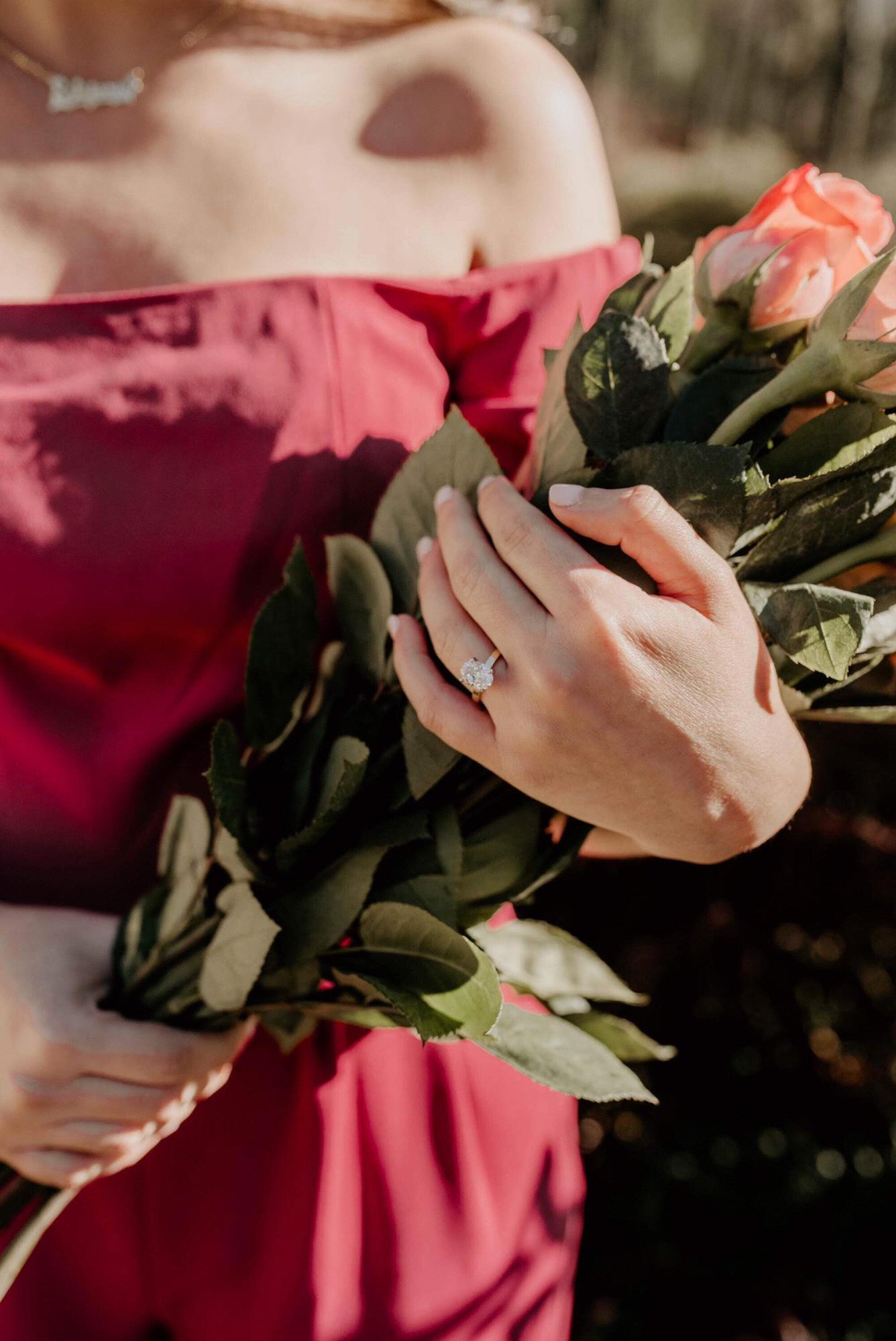 The Proposal! 01.05.2019
The Old Mill - North Little Rock, Arkansas