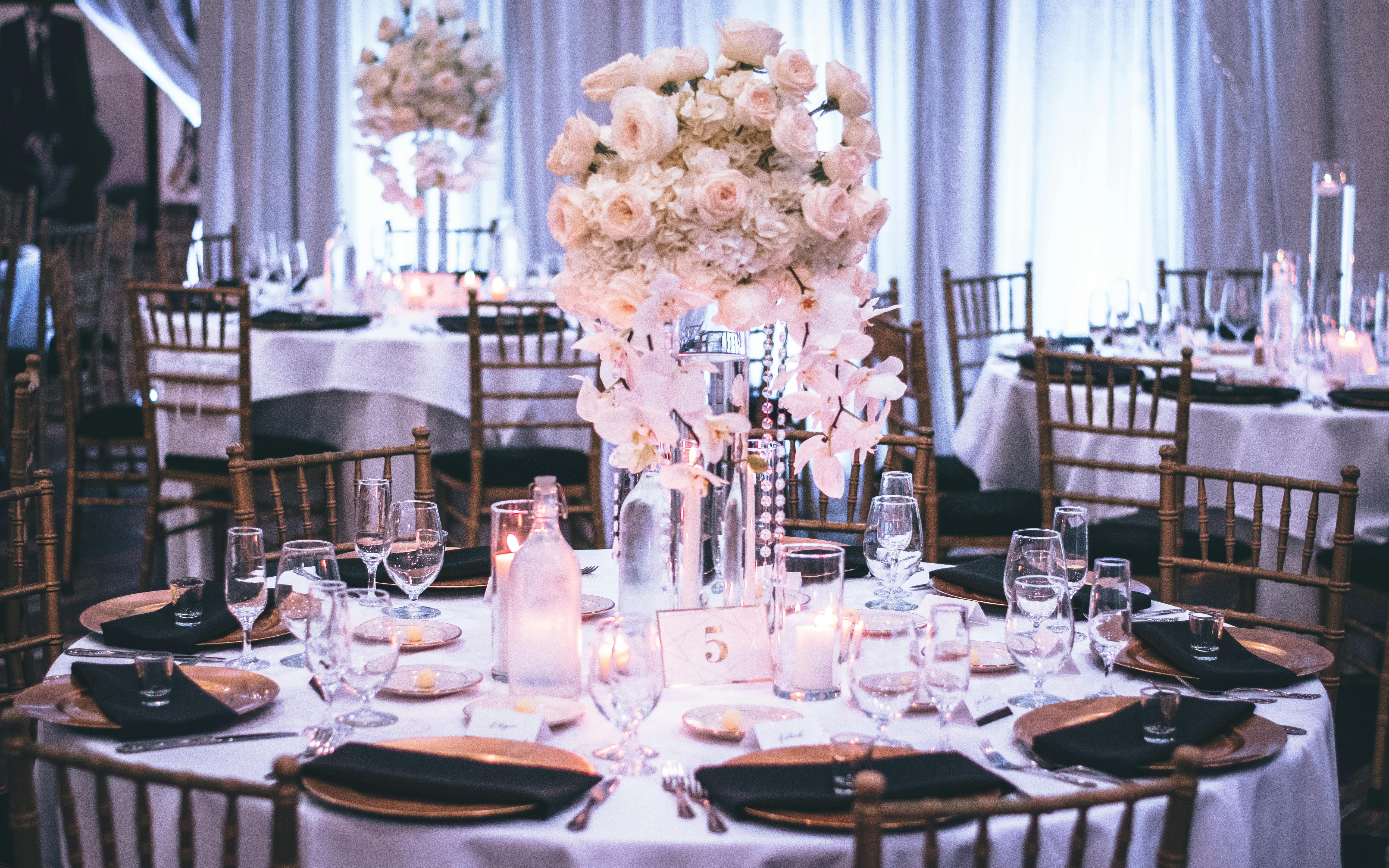 The Wedding Website of Deatrice Dale and Christopher Lee