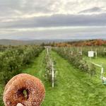 Carter Hill Orchard