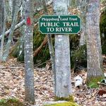 Phippsburg Land Trust- Trails and Walks
