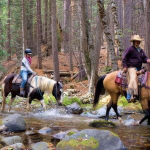 Horseback Riding On Our Honeymoon