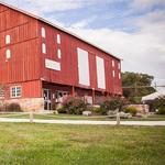 Sugarloaf Mountain Vineyard