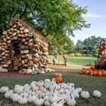 Cheekwood