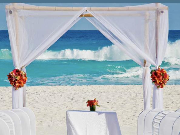 The Wedding Website of Brandi Quam and Benjamin Maddrey