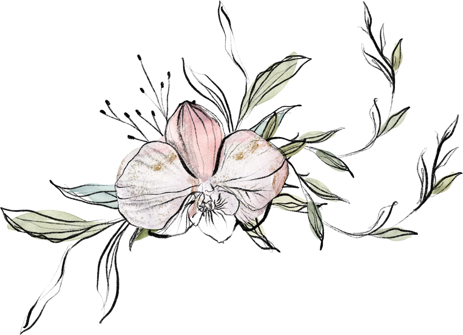 The Wedding Website of C.J. Wulff and Jessi Scott