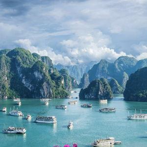 Honeymoon: Flights & Hotels