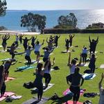 iHeartYoga in the Park