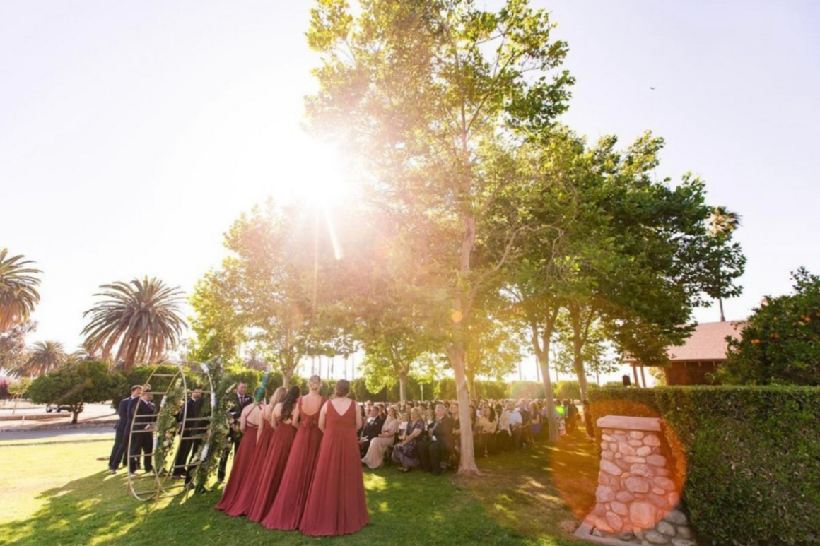 Citrus Park Wedding And Events