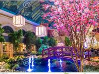 Bellagio Conservatory & Botanical Gardens