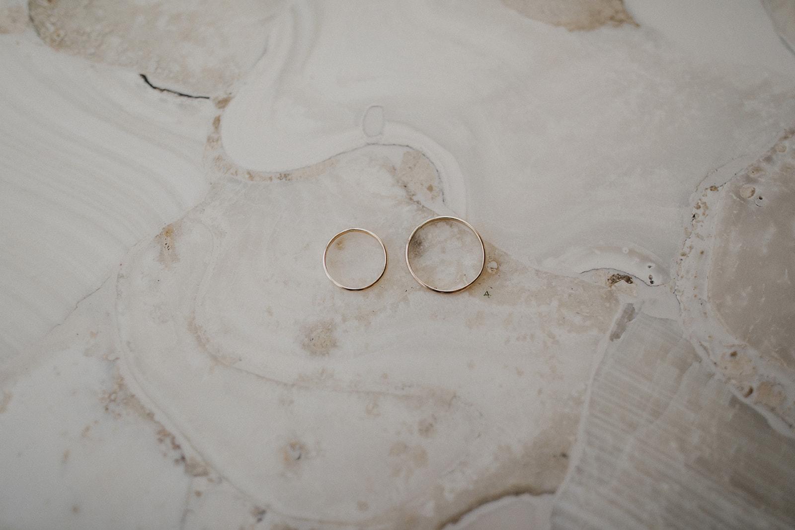 The Wedding Website of Max Abrams and Shayna Hansen