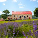 Springfield Manor Winery Distillery Brewery