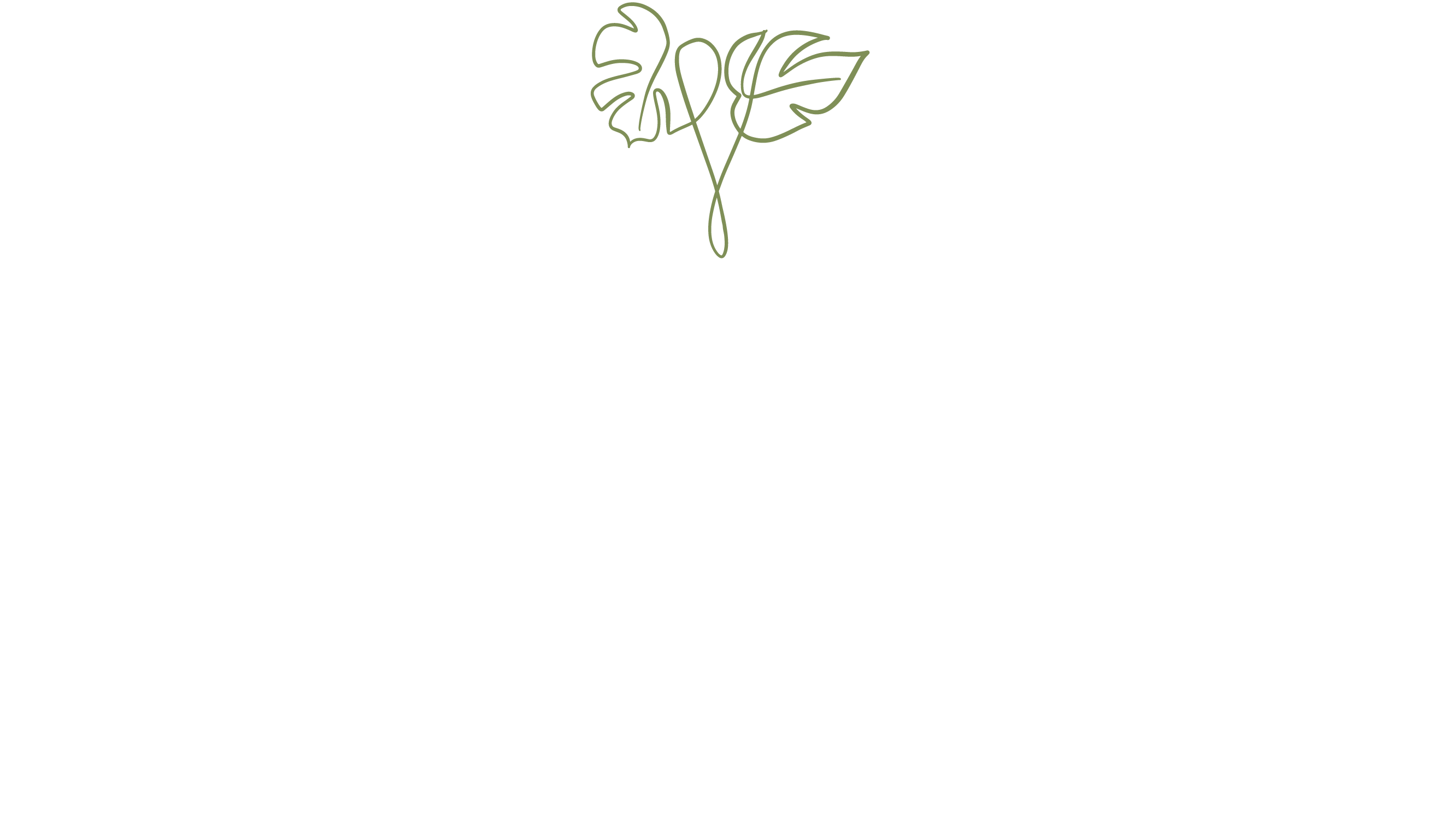 Footer image