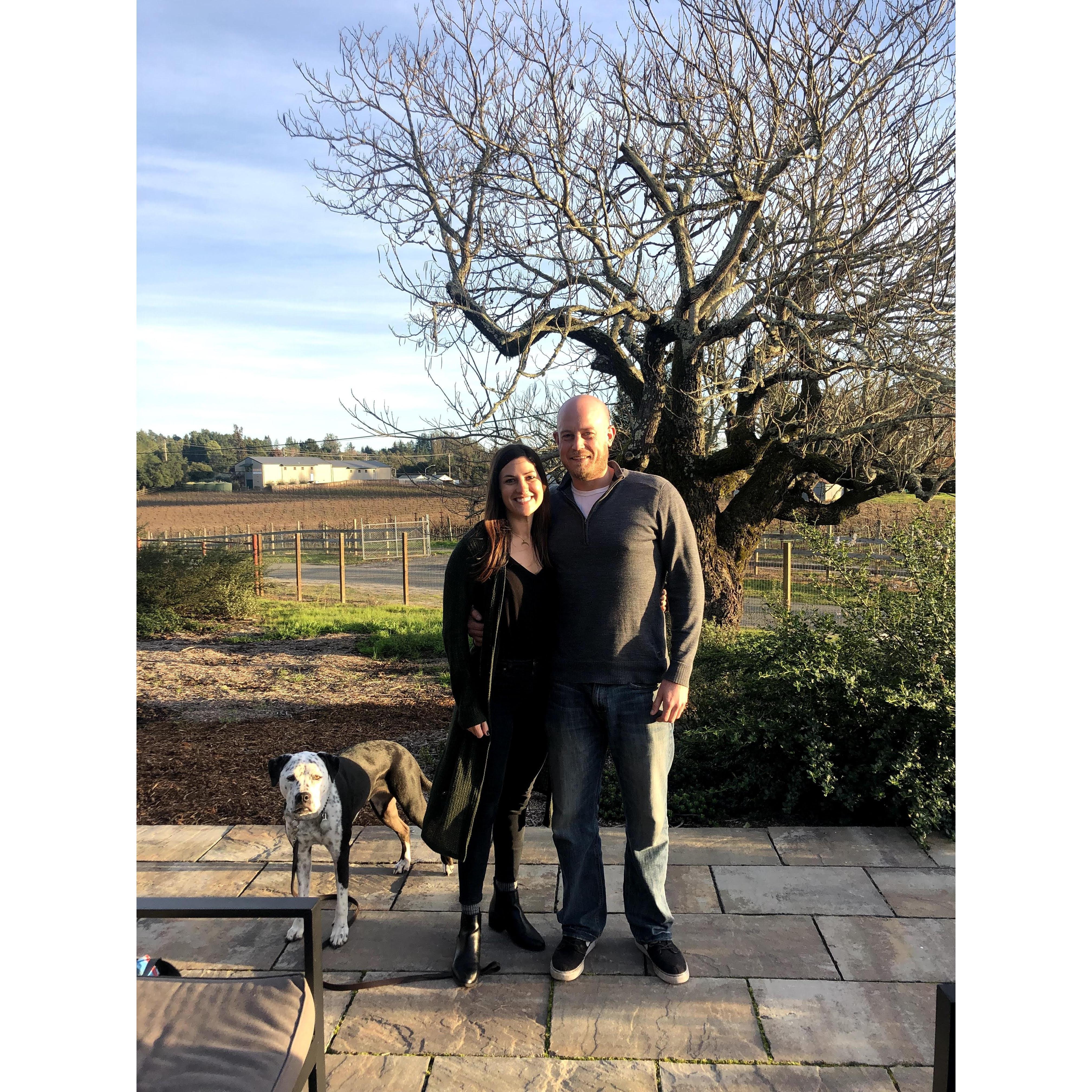 Emeritus Winery, Sebastopol, CA