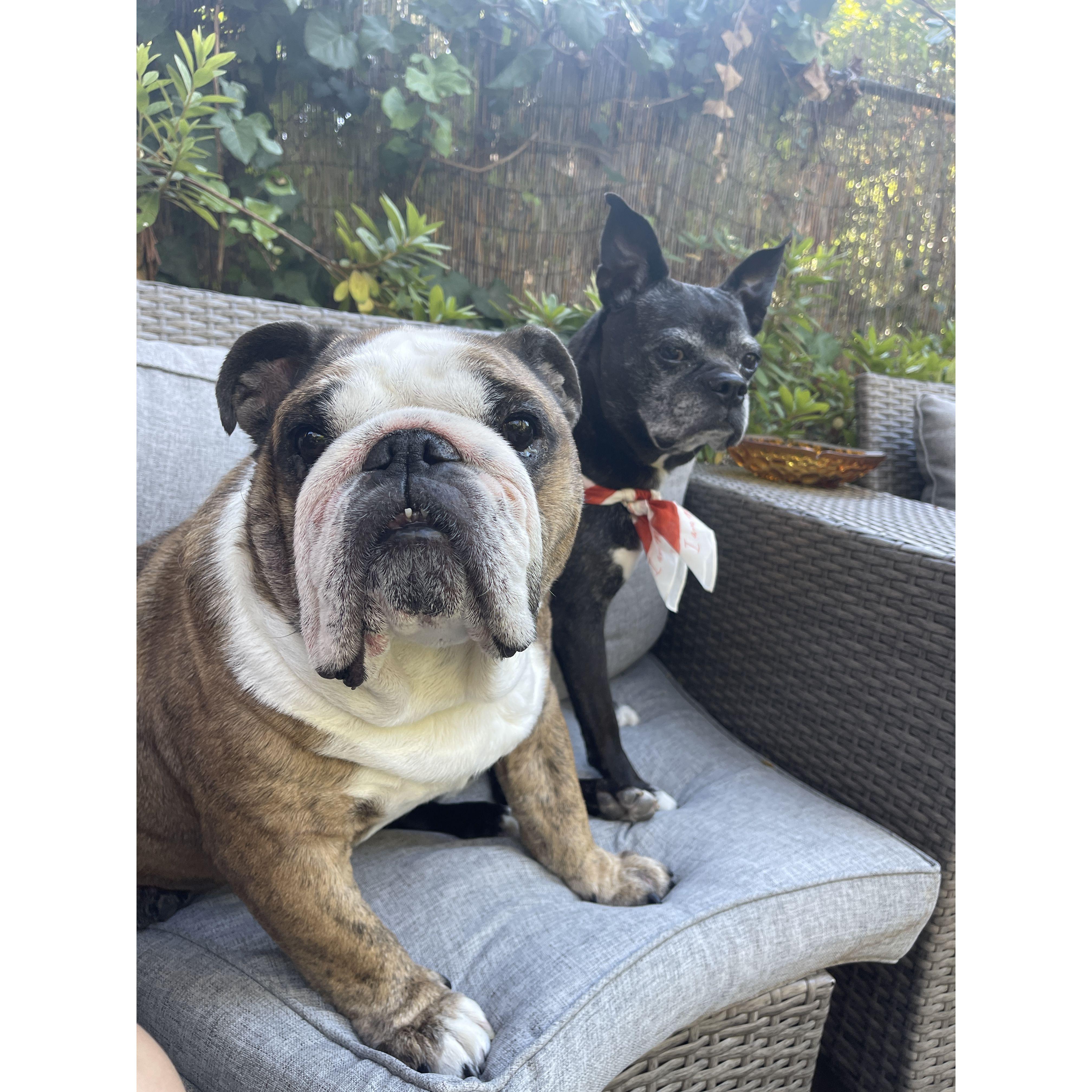 Our babies