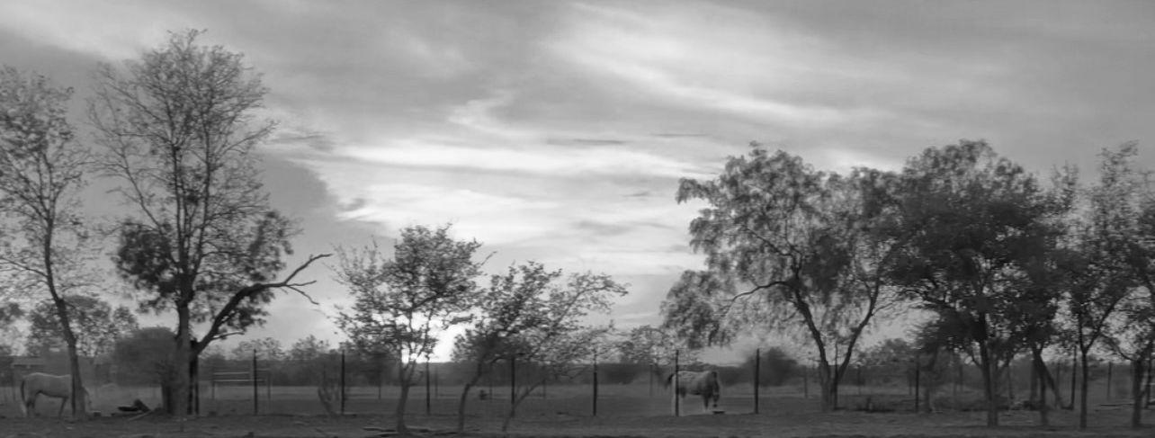 The Wedding Website of Mia Gaona and Josiah Rendon