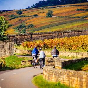 Bike Rentals in Burgundy
