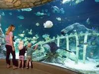 SEA LIFE Kansas City