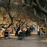 Bruma Wine Garden