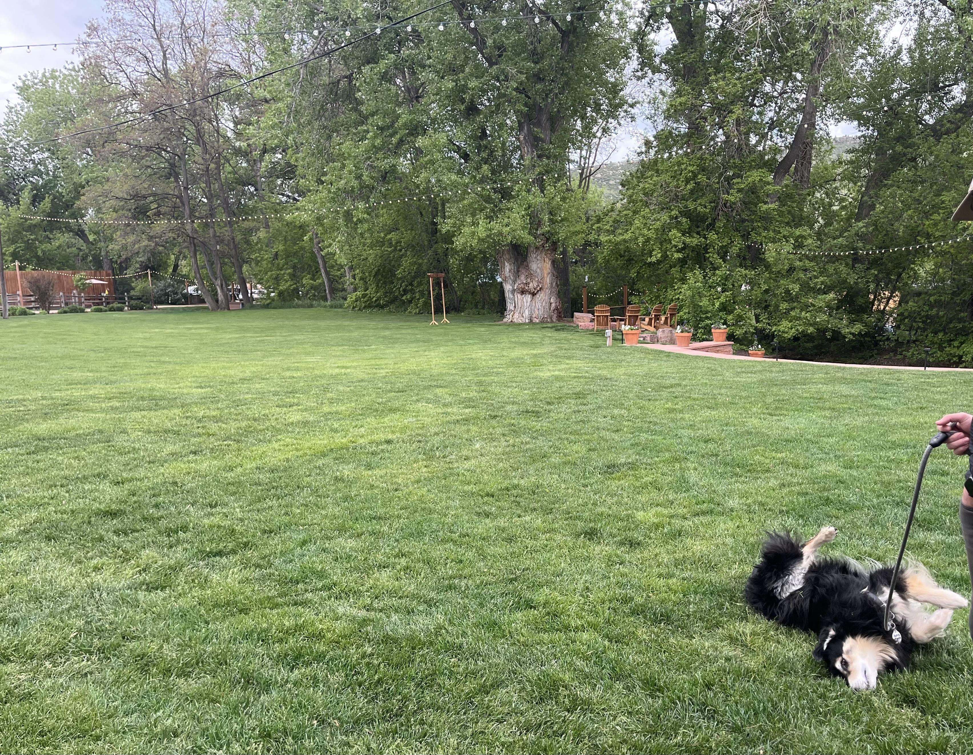 The Wedding Website of Kate Hamel and Greg Thompson