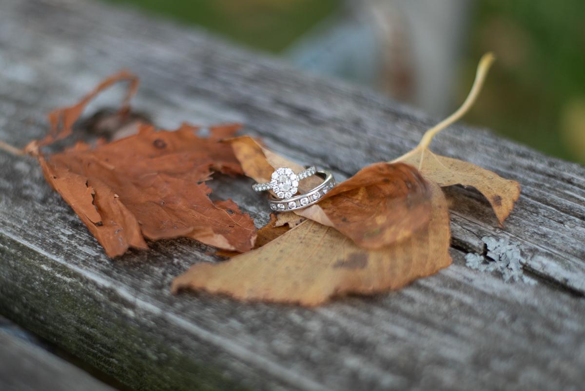 The Wedding Website of Katie Crane and Alexis Hamlin