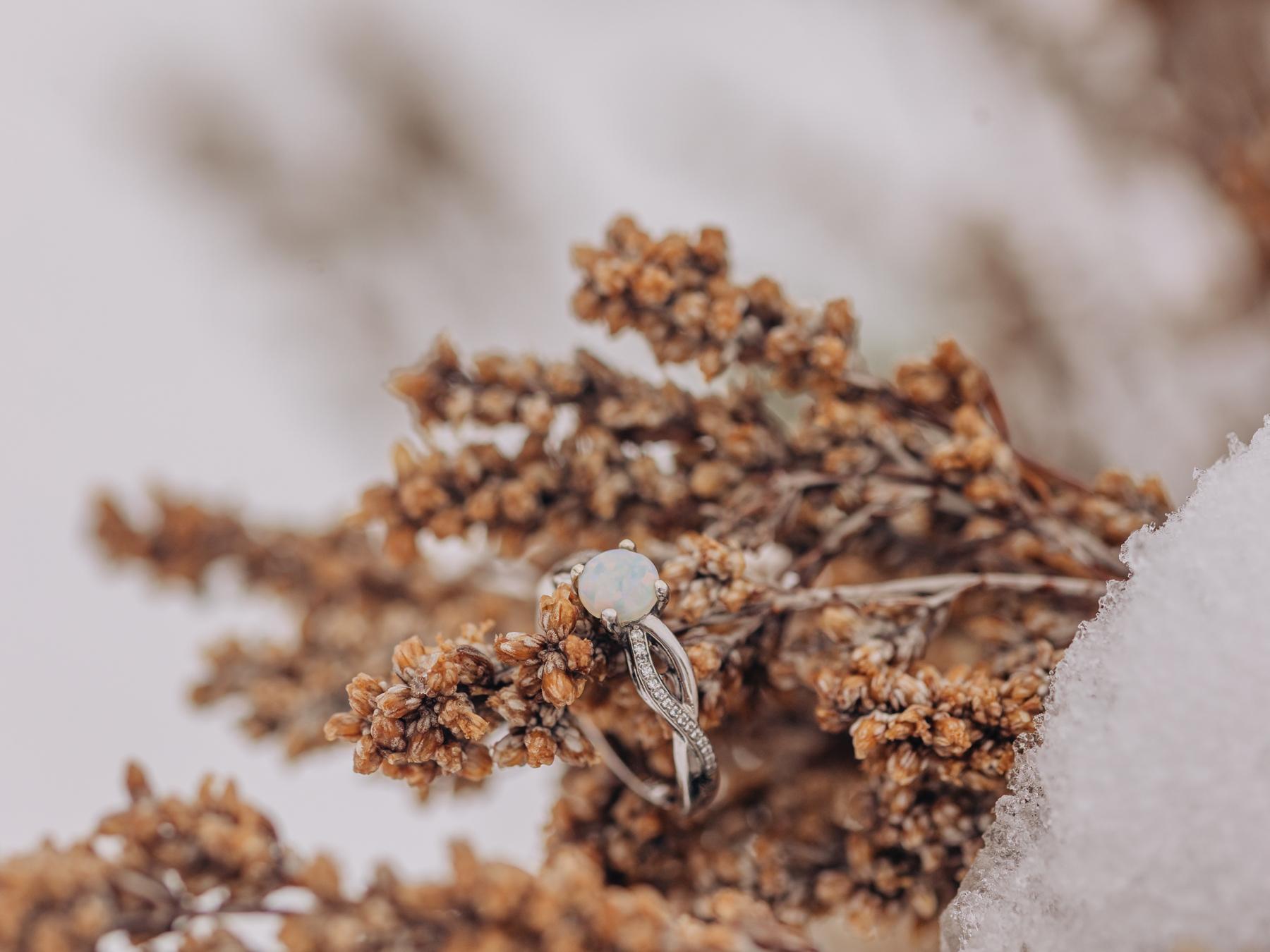 5c83f594-a2e1-40ce-98b0-027f8ee22a4e