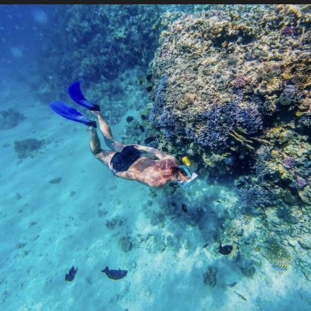 All day Snorkeling Trip