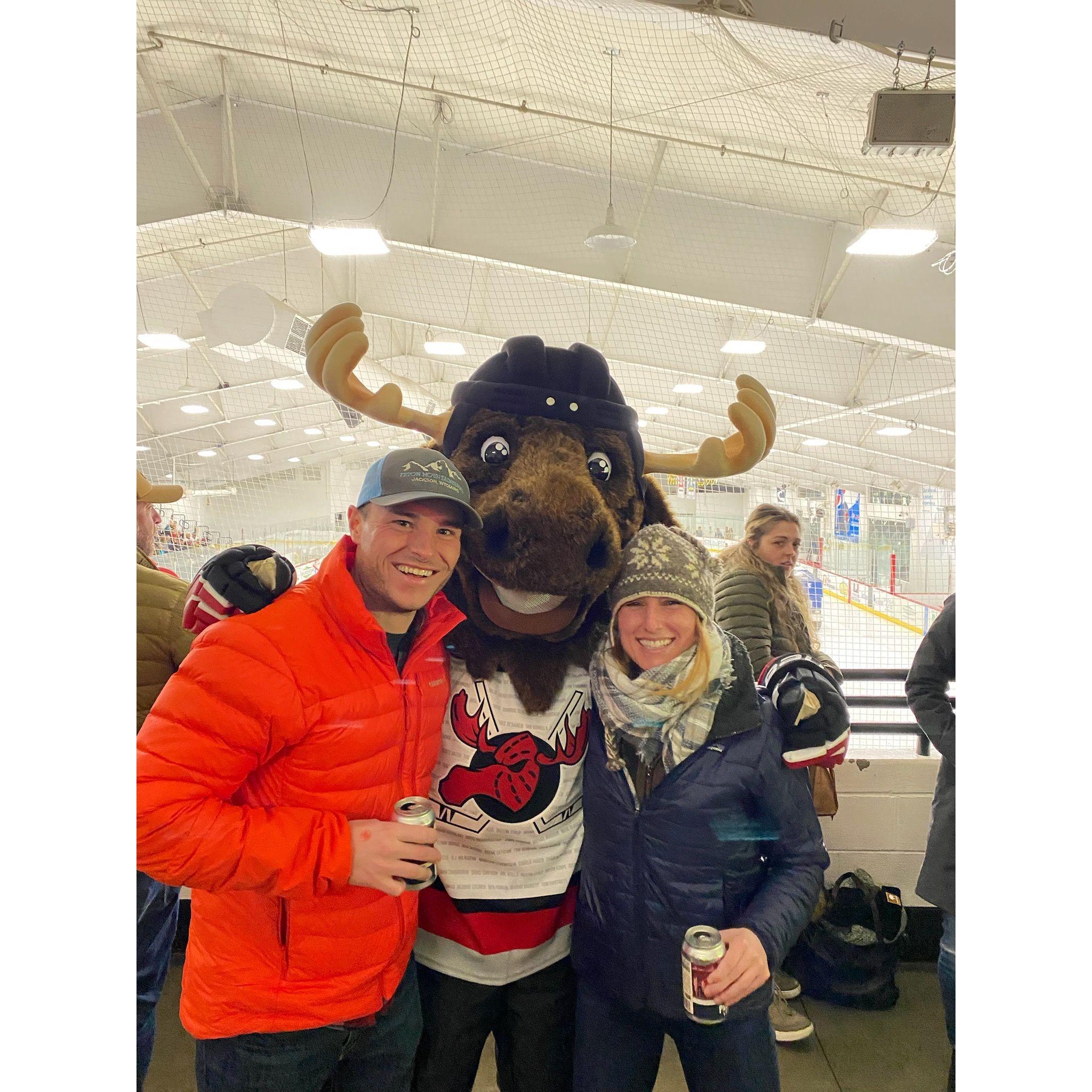 Greg finds a moose