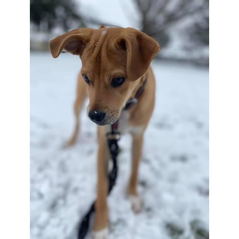 Our sweet baby boy!