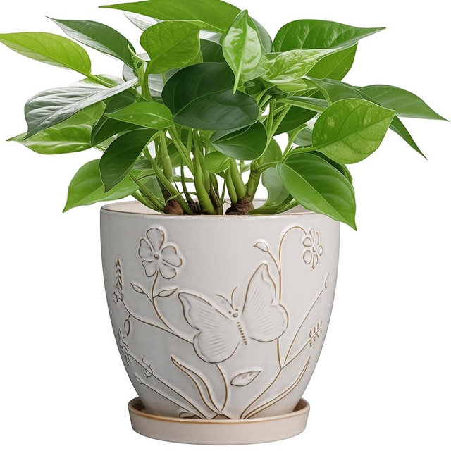 MPotTo 6 Inch Ceramic Plant Pot for Indoor Plants Outdoor Round Planter Flower Pot with Drainage Hole and Saucer for Home Garden Office Decor White