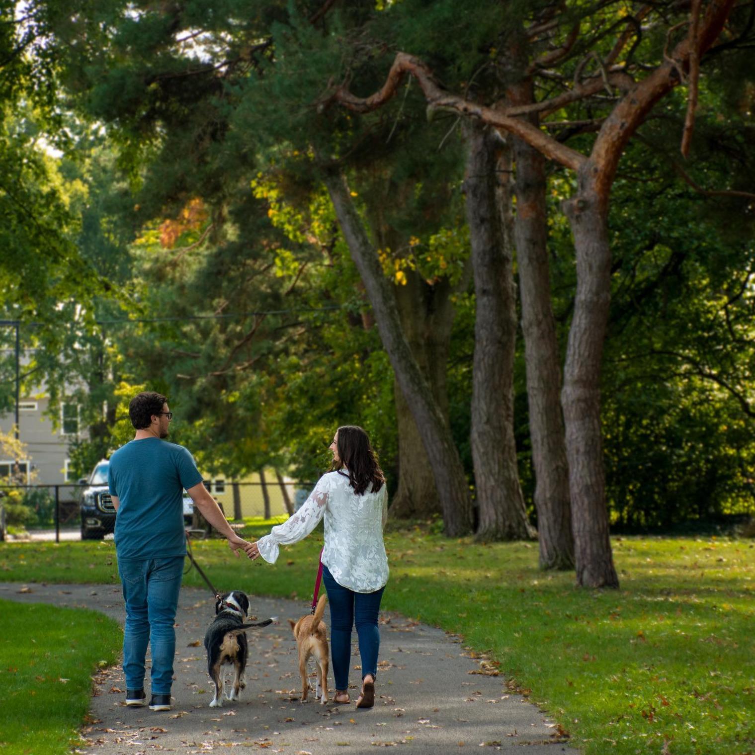 A walk with our pups