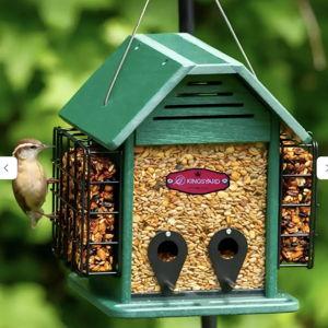 Kingsyard 3 in 1 Double Suet Metal Mesh Wild Bird Feeder: Green