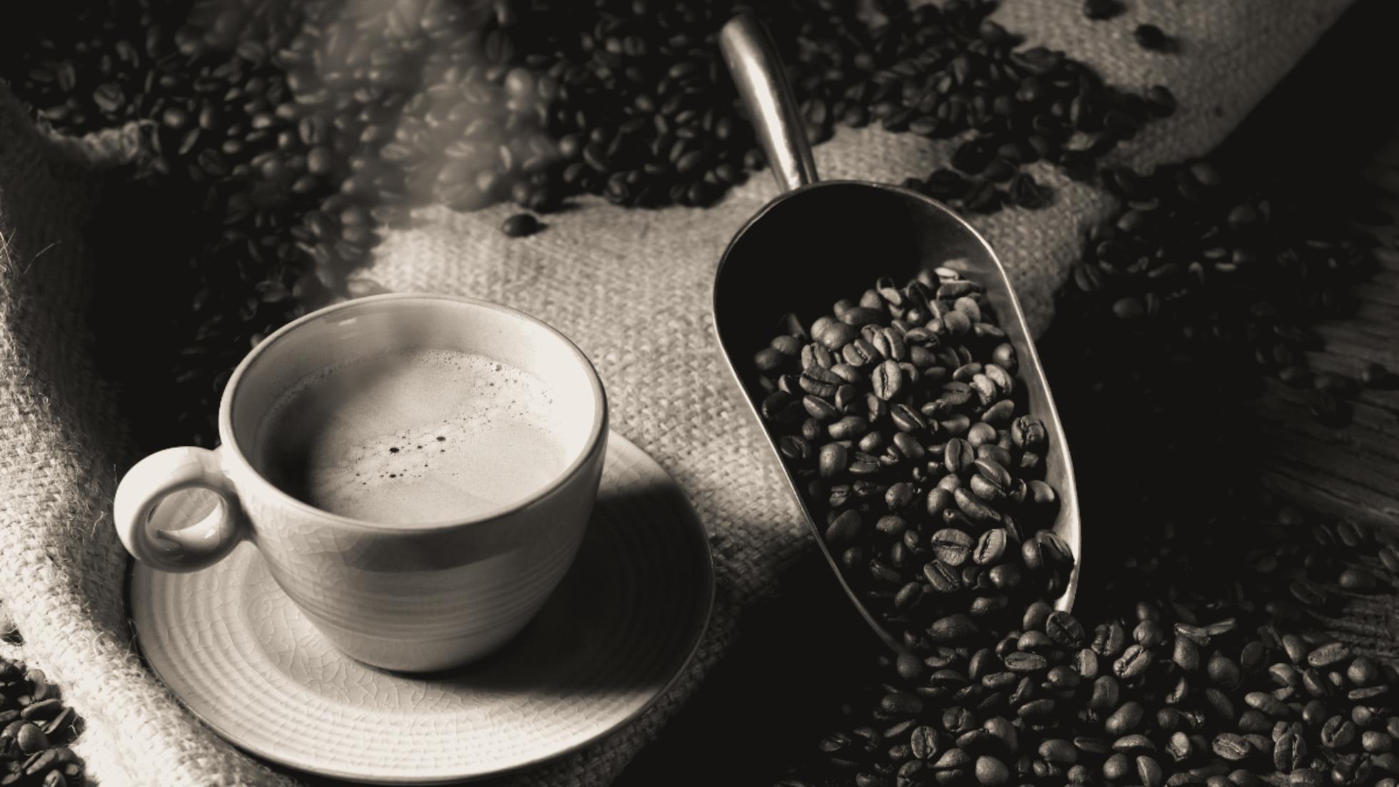 The Wedding Website of Guadalupe María and John Anthony