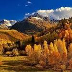 Colorado Leaf Peeping