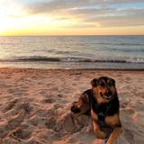Warren Dunes State Park