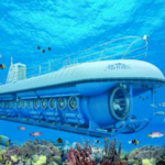 Submarine Expedition