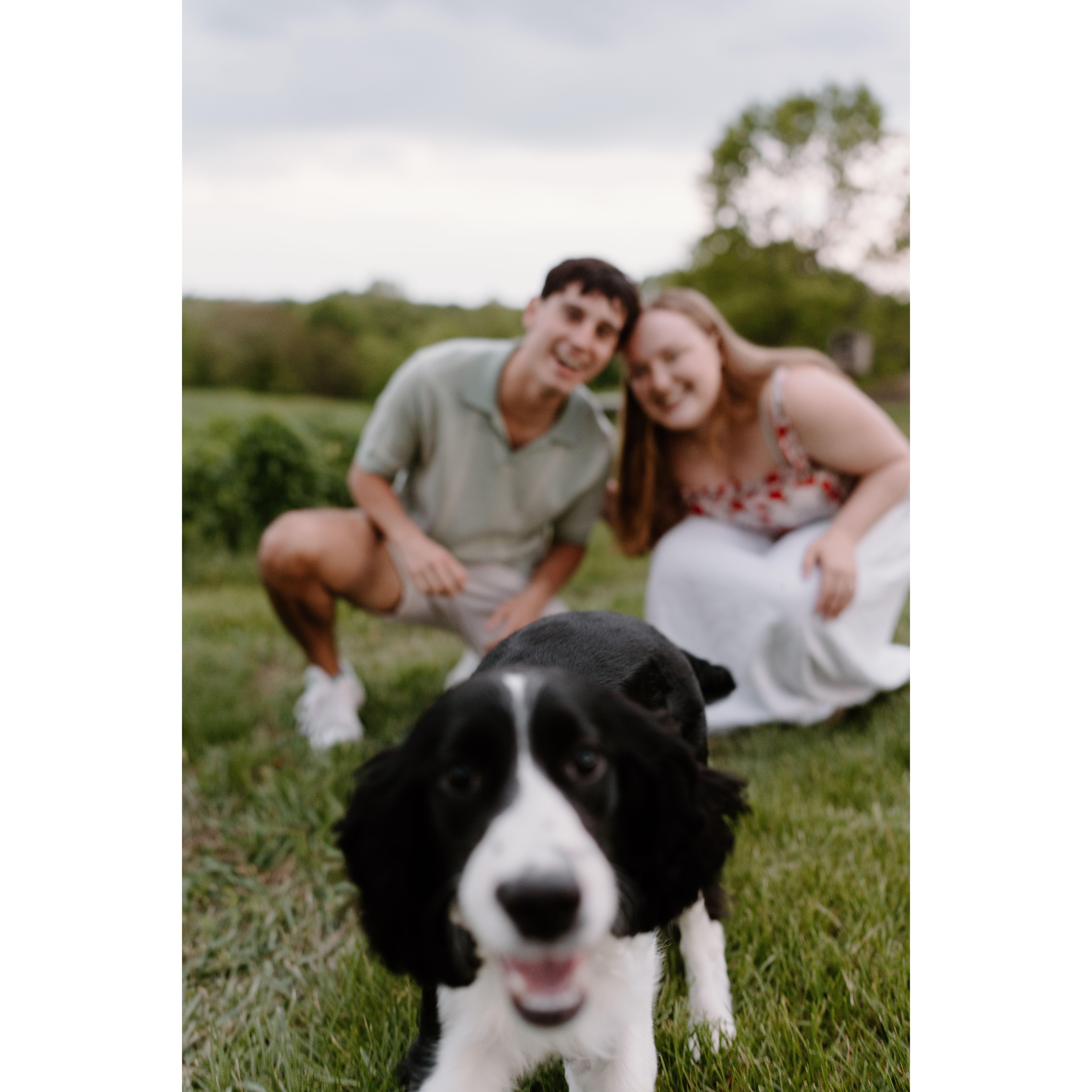 Did we have a professional photo shoot with Clover? Yes, of course! We are proud puppy parents!