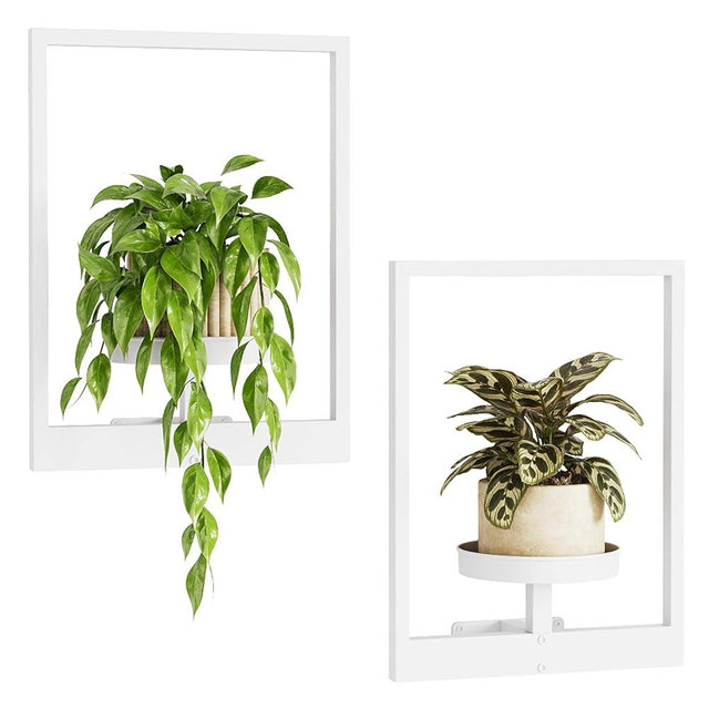 Bamworld White Plant Stand Indoor, Plant Hanger Wall Planters for Indoor Plants Window Plant Shelves Plant Holder Wall Decor, Room Decor (Patent Design)