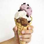 Maple View Farm Ice Cream