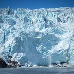 Kenai Fjord Tour