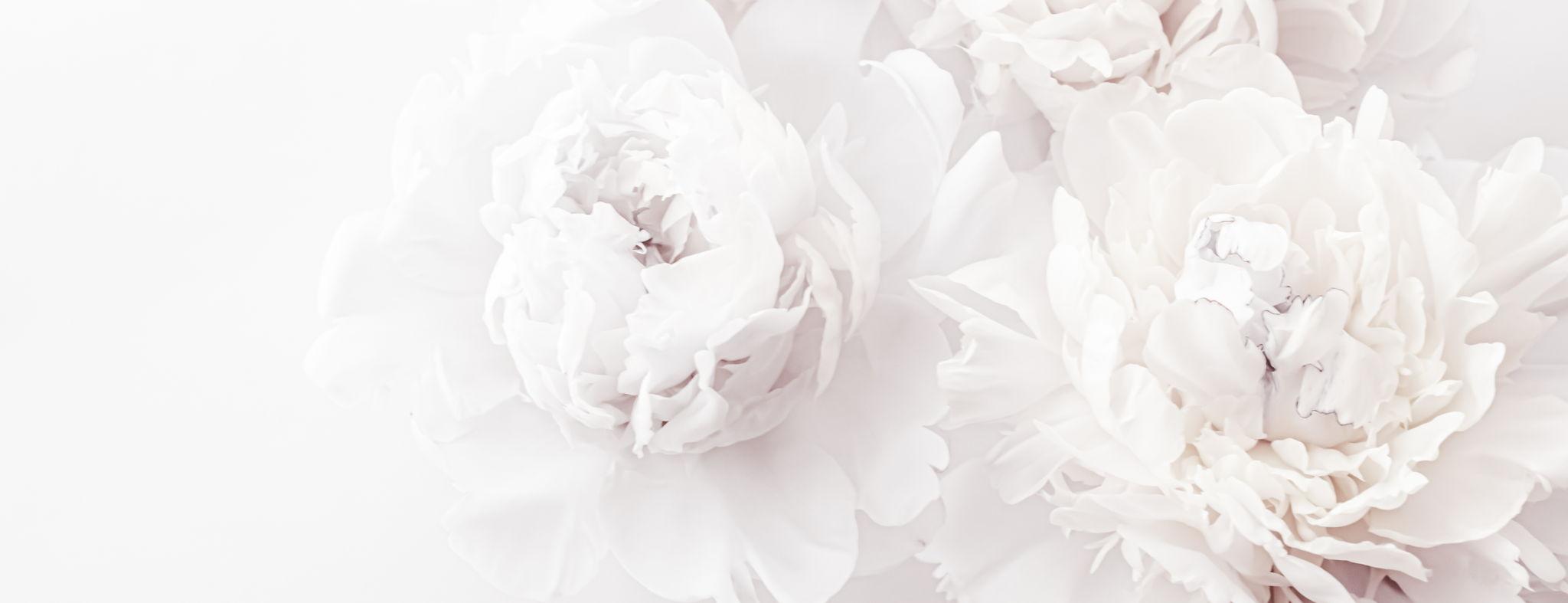 The Wedding Website of Matthijs Van 't Klooster and Renee Vriends