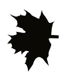 The Maple Table