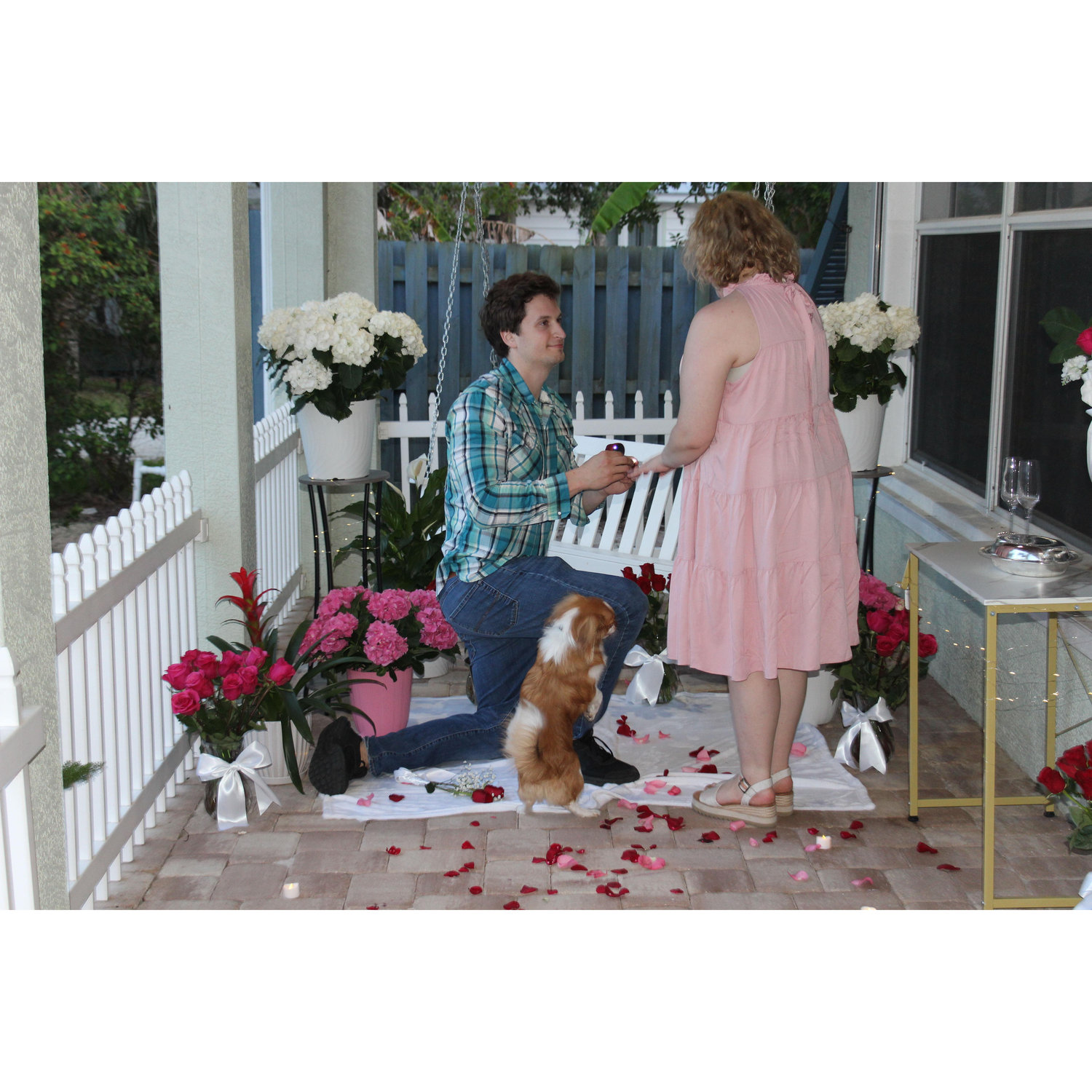 *The Proposal*