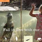 Cheyenne Mountain Zoo