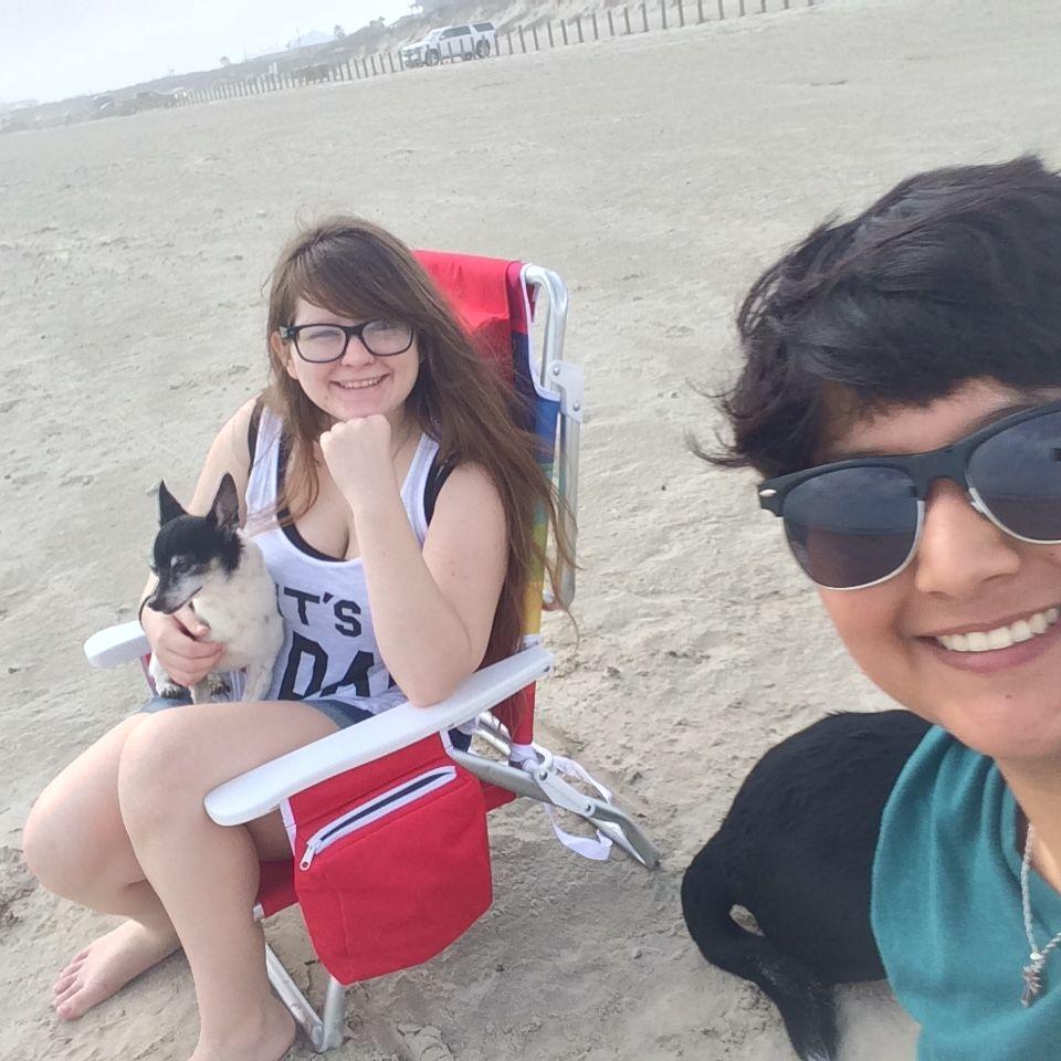 February 2017. A day at the beach with the dogs!