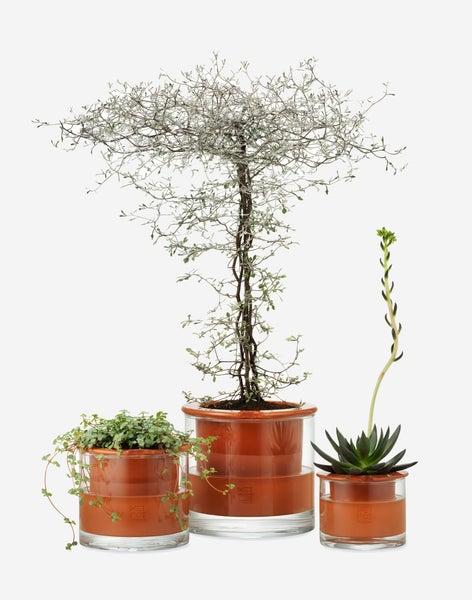 Self-Watering Pot - Medium