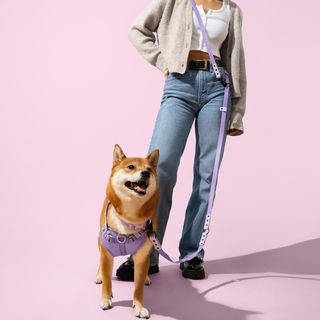 Luna Small 6-in-1 Waterproof Hands-Free Leash & Collar