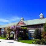 Cape May Winery