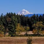 Milo McIver State Park