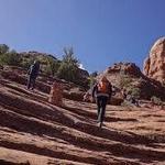 Cathedral Rock Trailhead